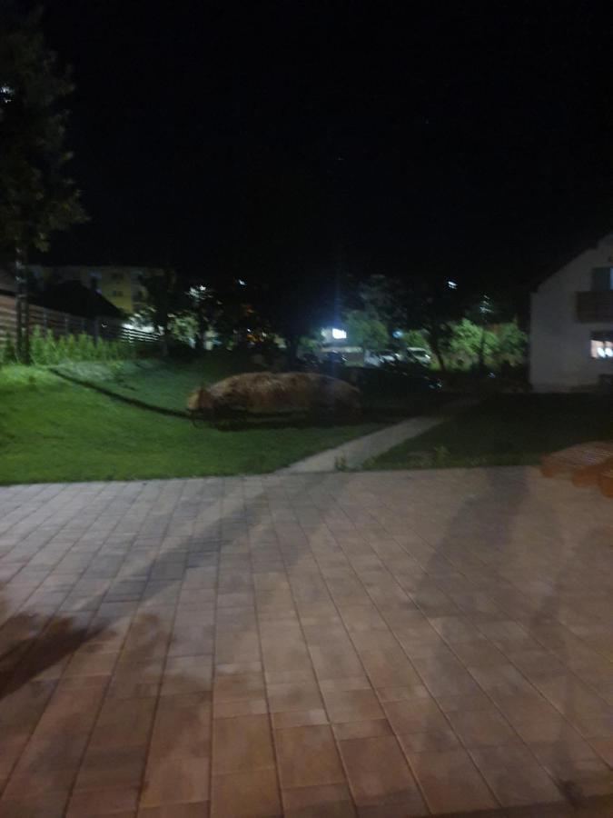 Pensiunea Transilvania Covasna Exterior foto
