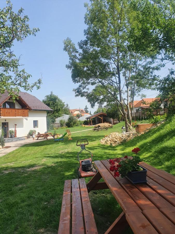 Pensiunea Transilvania Covasna Exterior foto